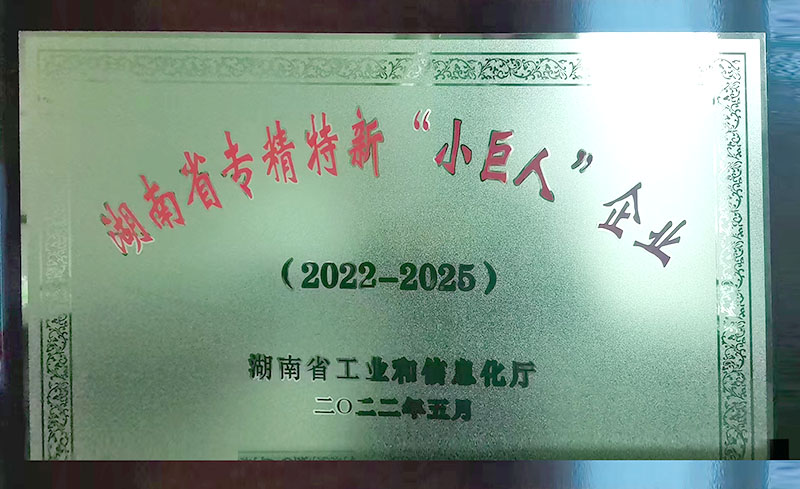 湖南省專精特新“小巨人”企業(yè)